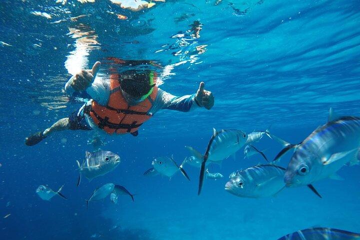 Gezamenlijke snorkeltour 'The Sky' in Cozumel met C