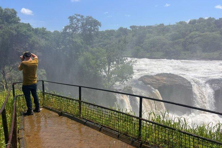 8 Dias em Uganda: Chimpanzés, Big Five e Cataratas