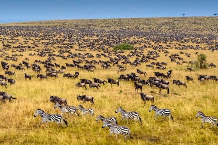 3 Days Maasai Mara Great Migration Guided Safari from Nairobi