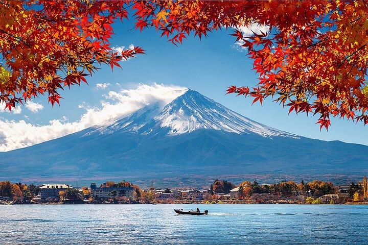 Mt Fuji och Hakone Cultural Tour med licensierad Guide