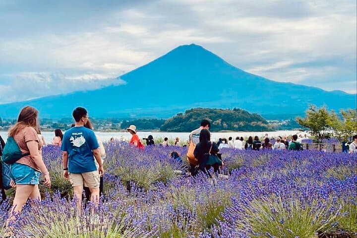 Mt. Fuji Spanish & English tour