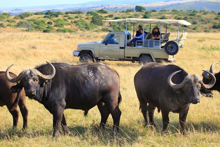 5 Day Garden Route Road Trip au départ de Cape Town Addo Safari Caves