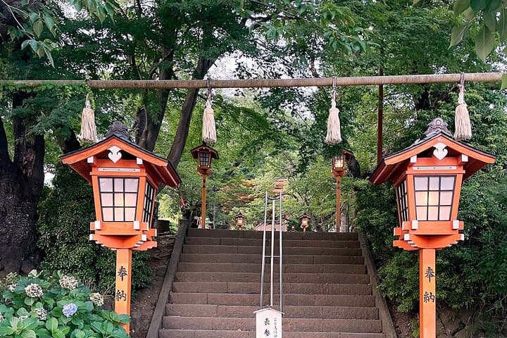 Mt. Fuji Spanish & English tour