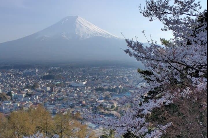Mt. Fuji Spanish & English tour