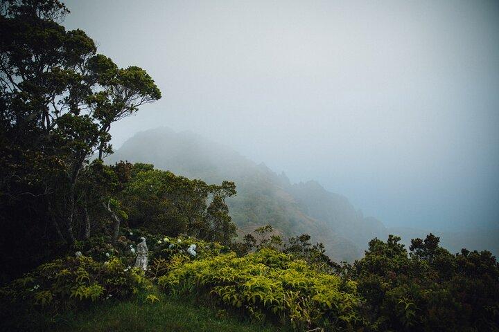 Excursion d'une journée de Oahu à Kauai : Waimea Canyon & Koke'e Tour