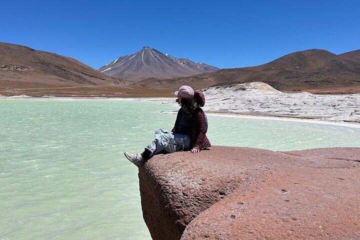Piedras Rojas und Altiplano Lagoons Tour von San Pedro