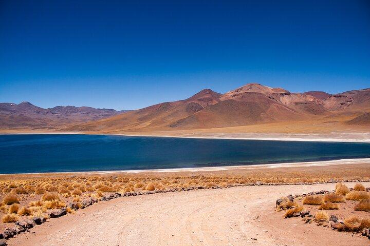 Piedras Rojas und Altiplano Lagoons Tour von San Pedro