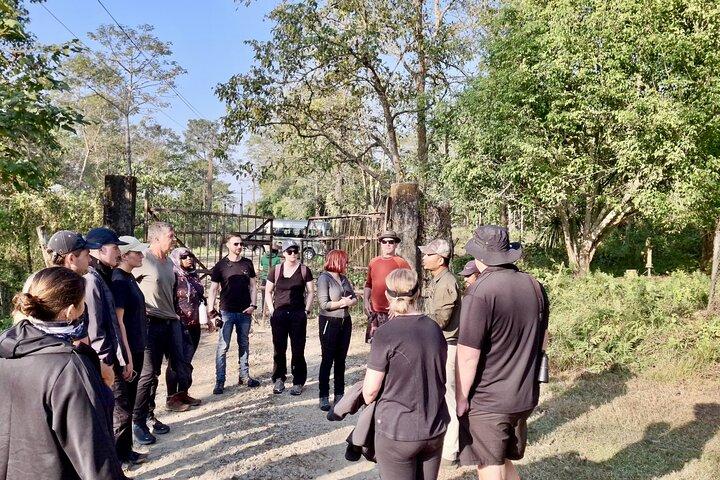 Visite du Népal - Katmandou, Chitwan et Pokhara (8 jours)– Privé/ Groupe