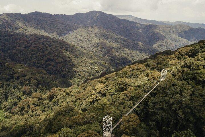 Aventura de Zipline e Canopy em Nyungwe Forest National Park