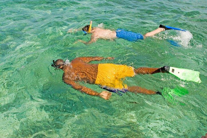 Rose Island Swimming Pigs & Beach Snorkeling Experience Nassau