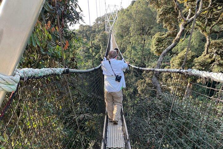 One Day Nyungwe Canopy Walkway, Zipline e Ndambarare Waterfall