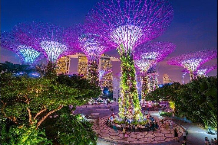 Visite nocturne privée de Singapour avec croisière sur le fleuve