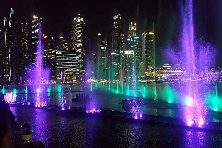 Visite nocturne privée de Singapour avec croisière sur le fleuve