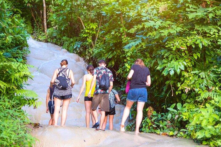 Chiang Mai: Sticky Waterfall af lokal lastbil med marked stop