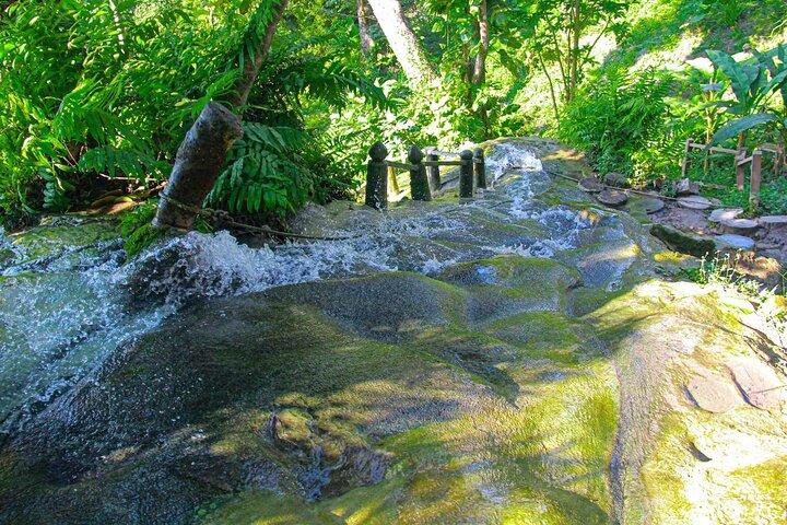 Chiang Mai: Sticky Waterfall af lokal lastbil med marked stop