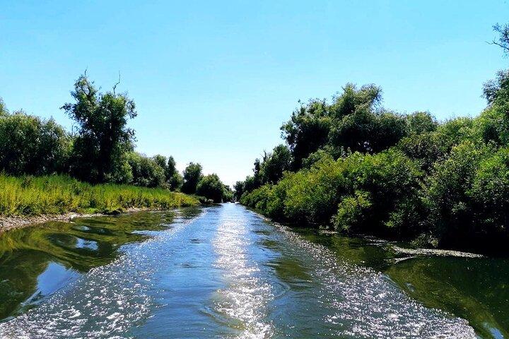 Wild Danube Boat Day Trip nel Delta : PREMIUM TOUR piccolo gruppo