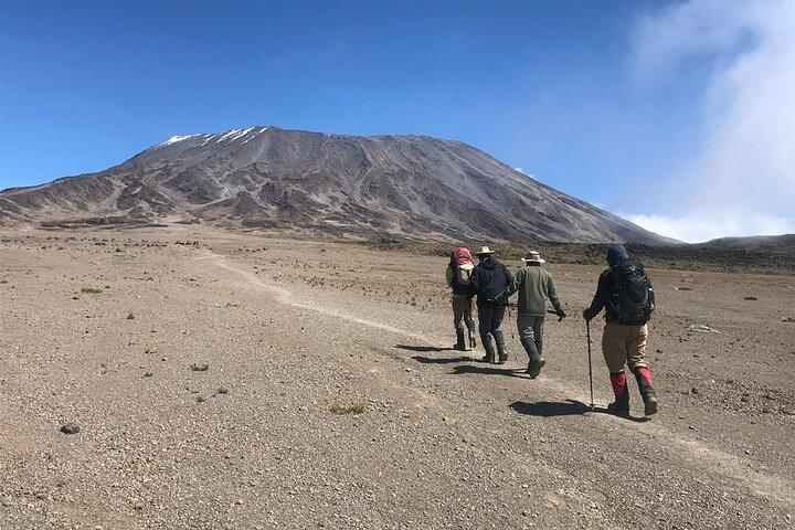 Mt Kilimanjaro privat 7 dagars klättring äventyr