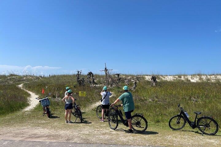 Tour guiado en bicicleta eléctrica por la isla de Oak