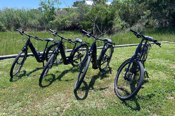 Tour guiado en bicicleta eléctrica por la isla de Oak