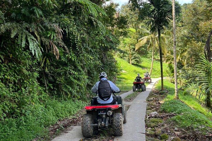4 Horas Ultimate ATV Jungle Tour em Koh Samui Almoço incluído