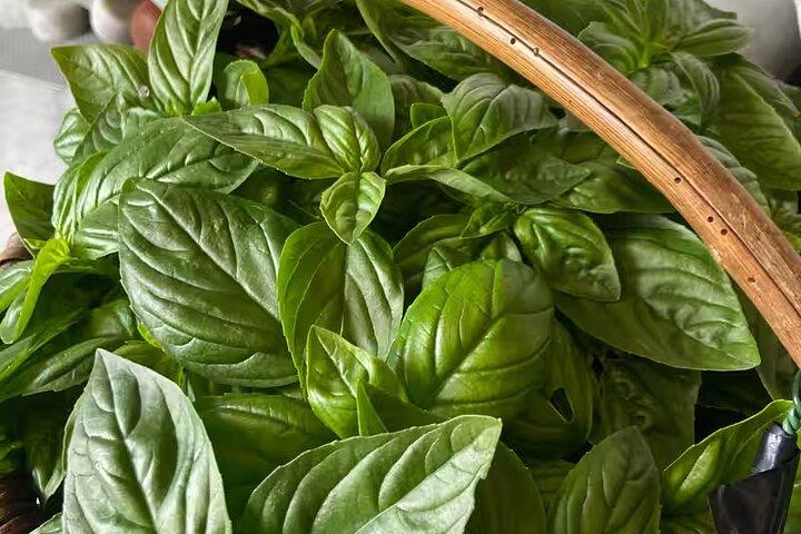 Cinque Terre: Clase de Pesto con Degustación de Focaccia en Manarola