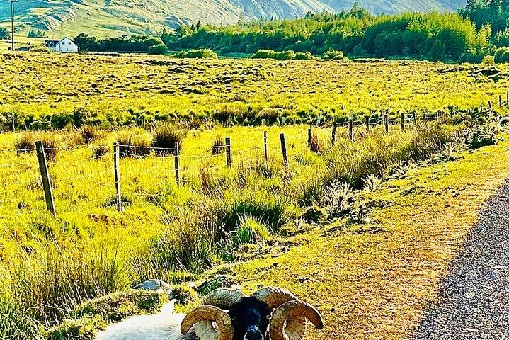 E-Bike Cycle Greenway - Westport naar Achill Island Atlantische kust