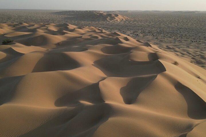 Excursion dans le désert en salalah (excursion d'une nuit)