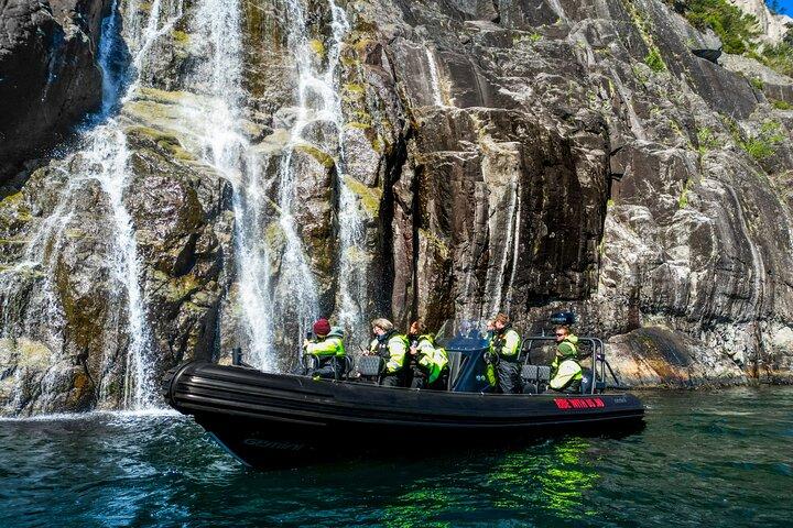 Visite du fjord avec grotte cachée, Preikestolen, cascades et chèvres
