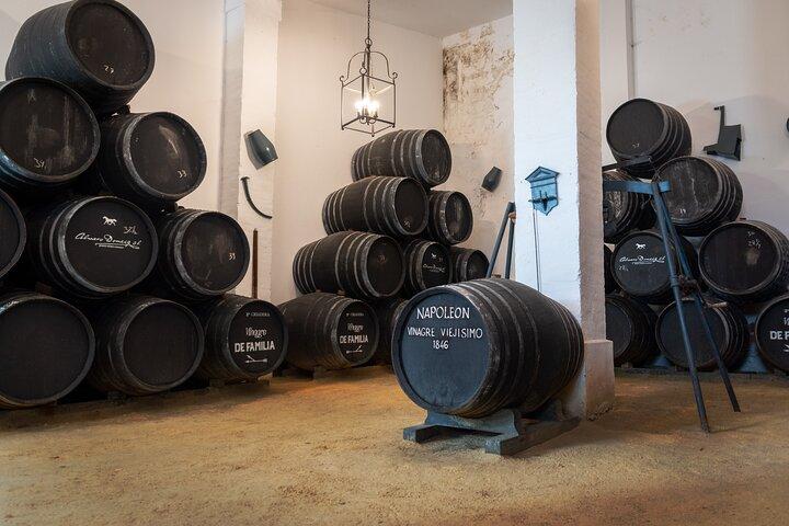 Visita guiada a uma vinícola com degustação de vinhos em Jerez.