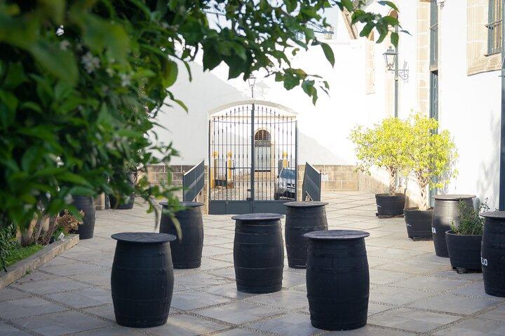Visita guiada a uma vinícola com degustação de vinhos em Jerez.