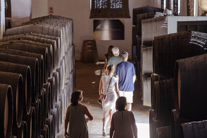 Visita guiada a uma vinícola com degustação de vinhos em Jerez.