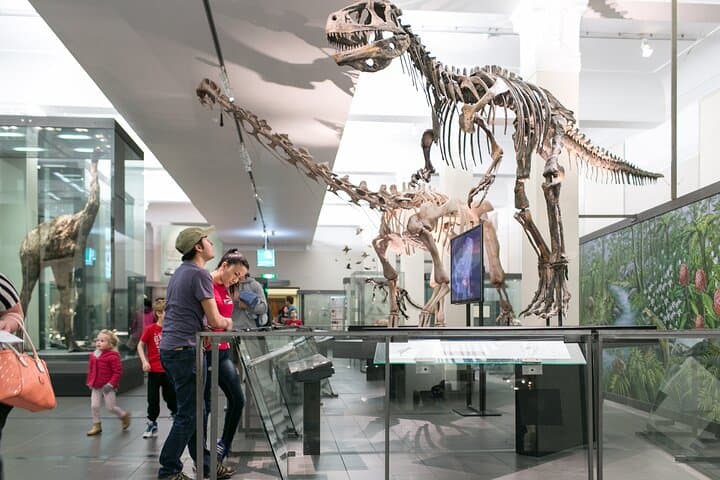 Skip the Line: Auckland Museum General Admission Ticket
