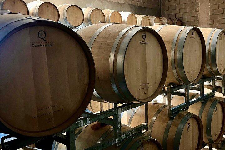 Tour Privado de Vinhos, Empanadas e Choripán com Traslados