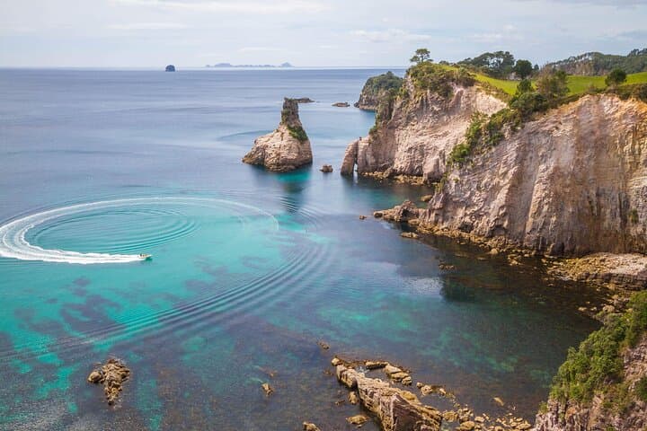 Cathedral Cove & Coromandel, Small-Group Tour with Lunch