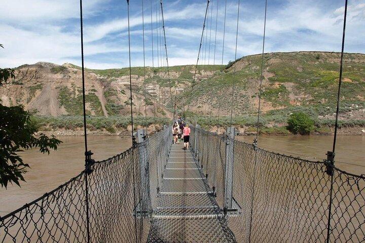 Tour di un'intera giornata di Drumheller e Badlands da Calgary in pullman