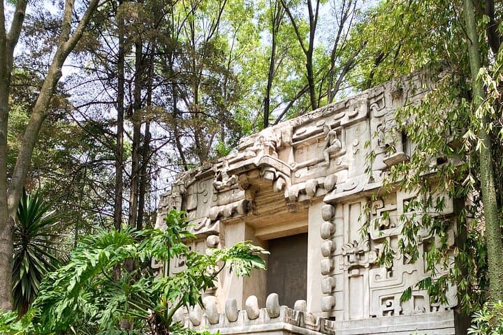 Guided Tour: Early Access to the Museum of Anthropology