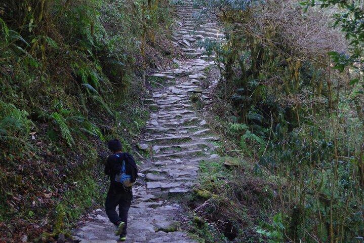 Ghorepani Poon Hill Trekking in Annapurna