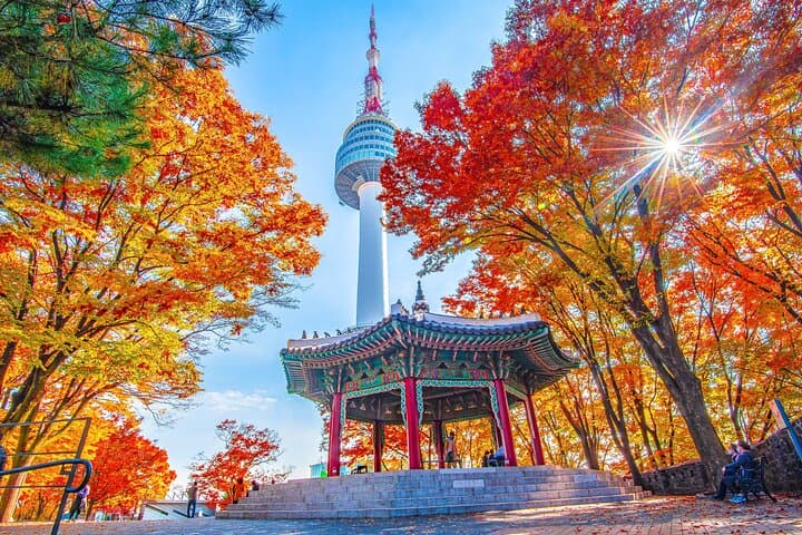 Small Group (7pax) Seoul Tour with Pickup/Dropoff (No Shopping)