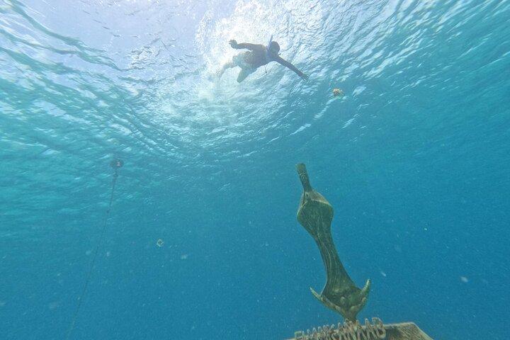 Ingresso para o Parque Chankanaab com mergulho com snorkel e buffet inclusos