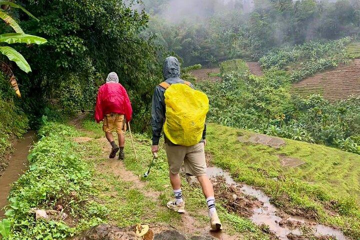 Knuckles Mountain Range trekkingtour vanuit Kandy