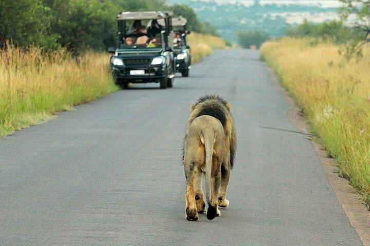 Safari di 3 giorni in campeggio Pilanesberg da Johannesburg