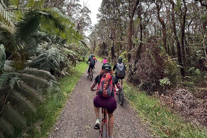 Tour del Parco Nazionale dei Vulcani E Bike