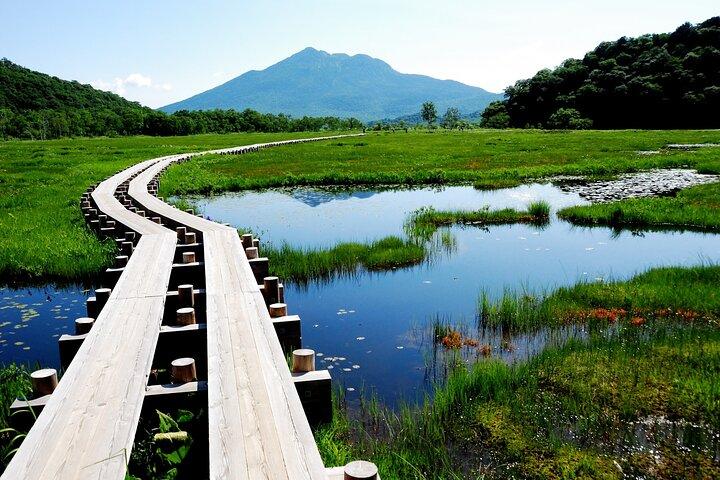 From Tokyo Day Trip Hiking Adventure in Oze National Park