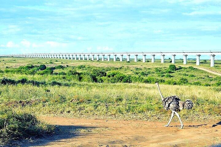 Eftermiddag Giraffe Center og Nairobi National Park Tour