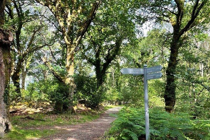 Ross Castle and Copper Mines Self Guided Walking Audio Tour