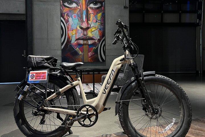 San Francisco en vélo électrique