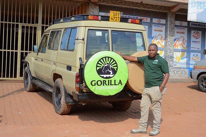 1 giorno Uganda Gorilla Trekking al Parco Nazionale di Mgahinga