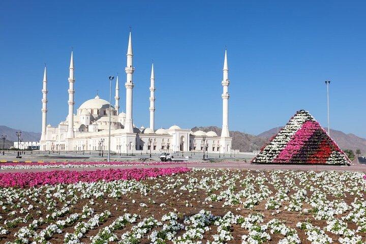 Ostküste Fujairah & Khor Fakkan Private Tour von Dubai