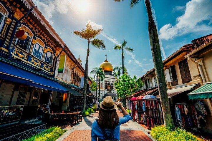 Halvdagstur till Singapore med hotelltransfer