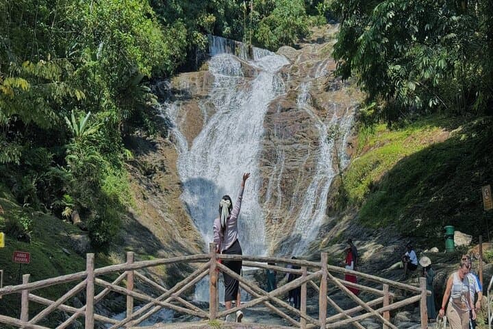 Cameron Highland Full Day Tour from KL City (Private)